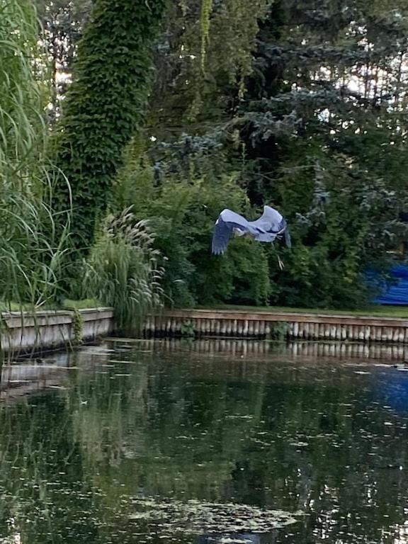 Holzhaus Mit Direktem Wasserzugang In Berlin-koepenick * Berlijn